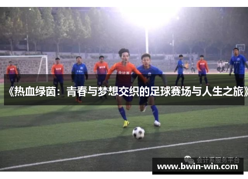 《热血绿茵：青春与梦想交织的足球赛场与人生之旅》