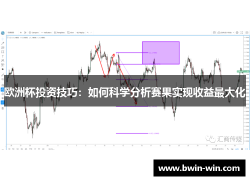 欧洲杯投资技巧：如何科学分析赛果实现收益最大化