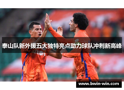 泰山队新外援五大独特亮点助力球队冲刺新高峰