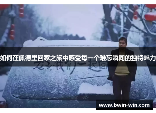 如何在佩德里回家之旅中感受每一个难忘瞬间的独特魅力 如何在佩德里回家之旅中感受每一个难忘瞬间的独特魅力