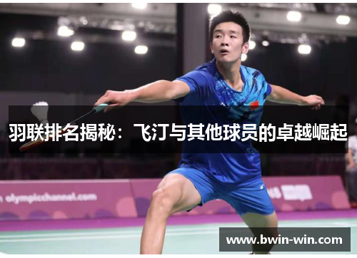 羽联排名揭秘：飞汀与其他球员的卓越崛起