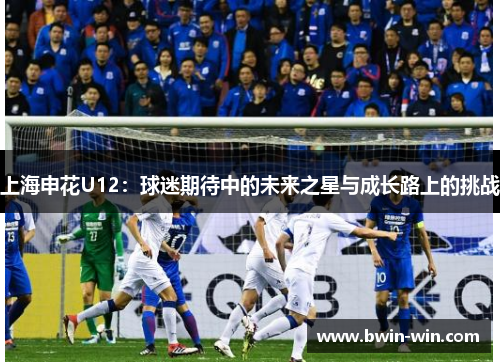 上海申花U12：球迷期待中的未来之星与成长路上的挑战