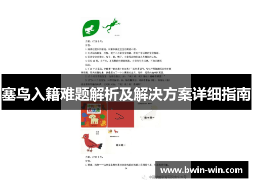 塞鸟入籍难题解析及解决方案详细指南